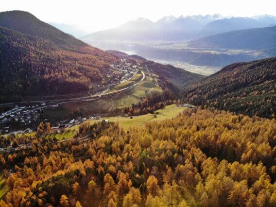 Laerchenwald im Herbst mit Blick auf Reith